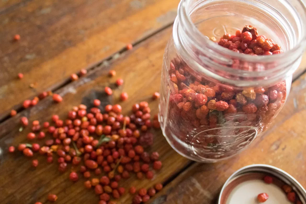 Chiltepín: El oro rojo que no puede faltar en las comidas sinaloenses