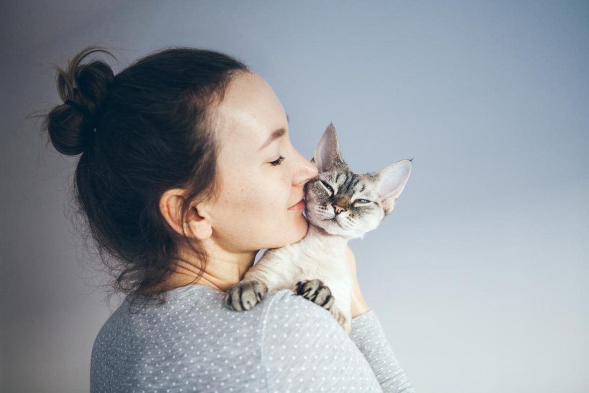 Día Internacional del Gato; ¿Por qué se celebra 3 veces al año?