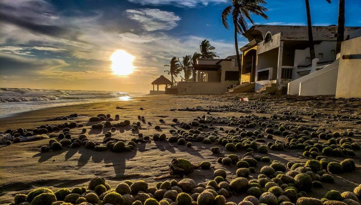 Huatabampito: una playa sonorense inigualable